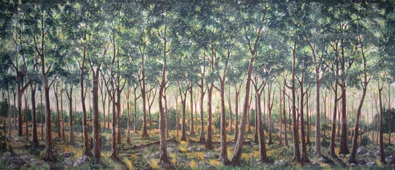 Forest Clearing Backdrop Projection