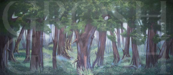 Dark Night Forest Backdrop Projection