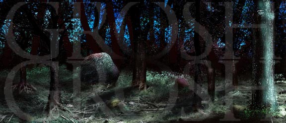 Into the Woods woods at dusk 1 backdrop projection