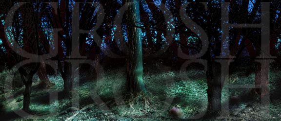 Into the Woods woods at dusk 2 backdrop projection