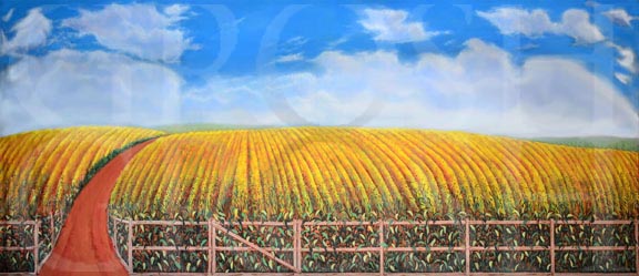 Wizard of Oz Cornfield Backdrop Projection